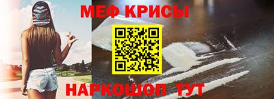 гашик Кингисепп