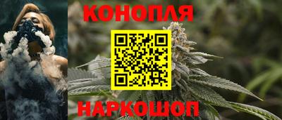 сатива Кимры