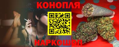 гашик Кингисепп