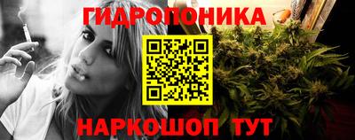 сатива Кимры