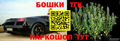 сатива Кимры