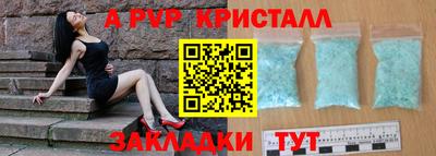 гашик Кингисепп