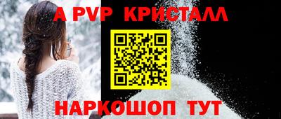 гашик Кингисепп