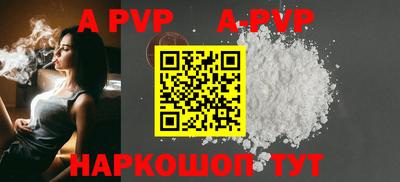 гашик Кингисепп