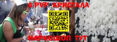 гашик Кингисепп