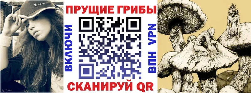 Галлюциногенные грибы GOLDEN TEACHER  Соль-Илецк 