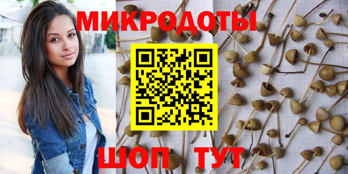 Галлюциногенные грибы мухоморы  Вход с VPN  Соль-Илецк 