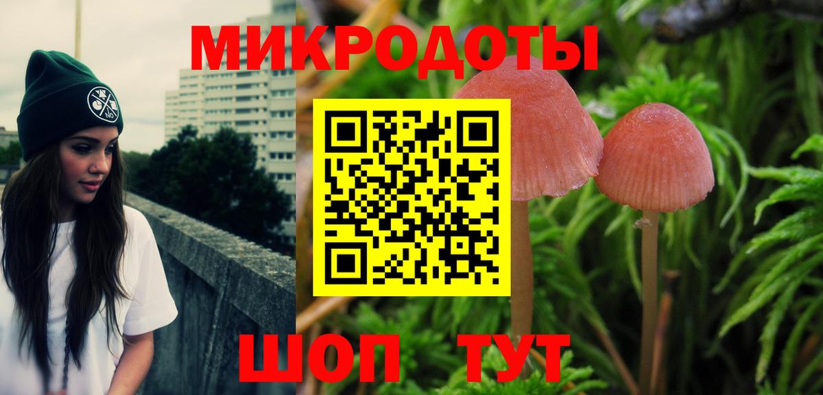 Псилоцибиновые грибы Psilocybe Соль-Илецк